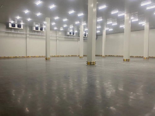 貨運(yùn)物流中的信譽(yù)與專業(yè)服務(wù) 化工品、冷鏈整車與零擔(dān)運(yùn)輸解析